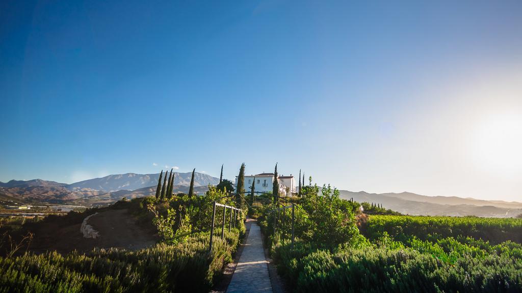 B Bou Hotel Cortijo Bravo Велес Экстерьер фото